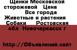 Щенки Московской сторожевой › Цена ­ 35 000 - Все города Животные и растения » Собаки   . Ростовская обл.,Новочеркасск г.